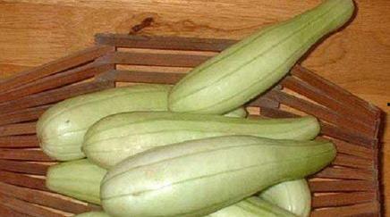 白瓜怎么吃才漂亮视频讲解,视频教你吃出美丽肌肤