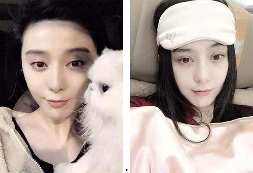 吃瓜香港女明星视频播放,揭秘娱乐圈幕后故事