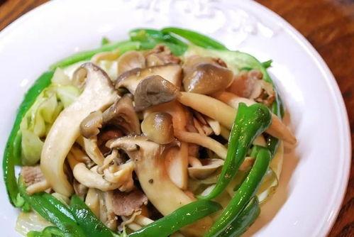 茭瓜炒蘑菇丝可以吃吗视频,茭瓜炒蘑菇丝，简单易学营养满分