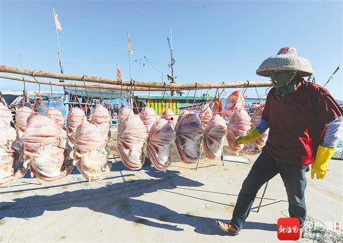 海南渔民吃瓜视频大全,视频大全展现渔村生活风情