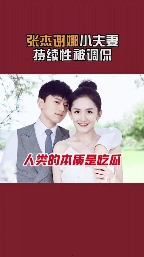 吃瓜张杰谢娜视频大全,吃瓜视频大盘点